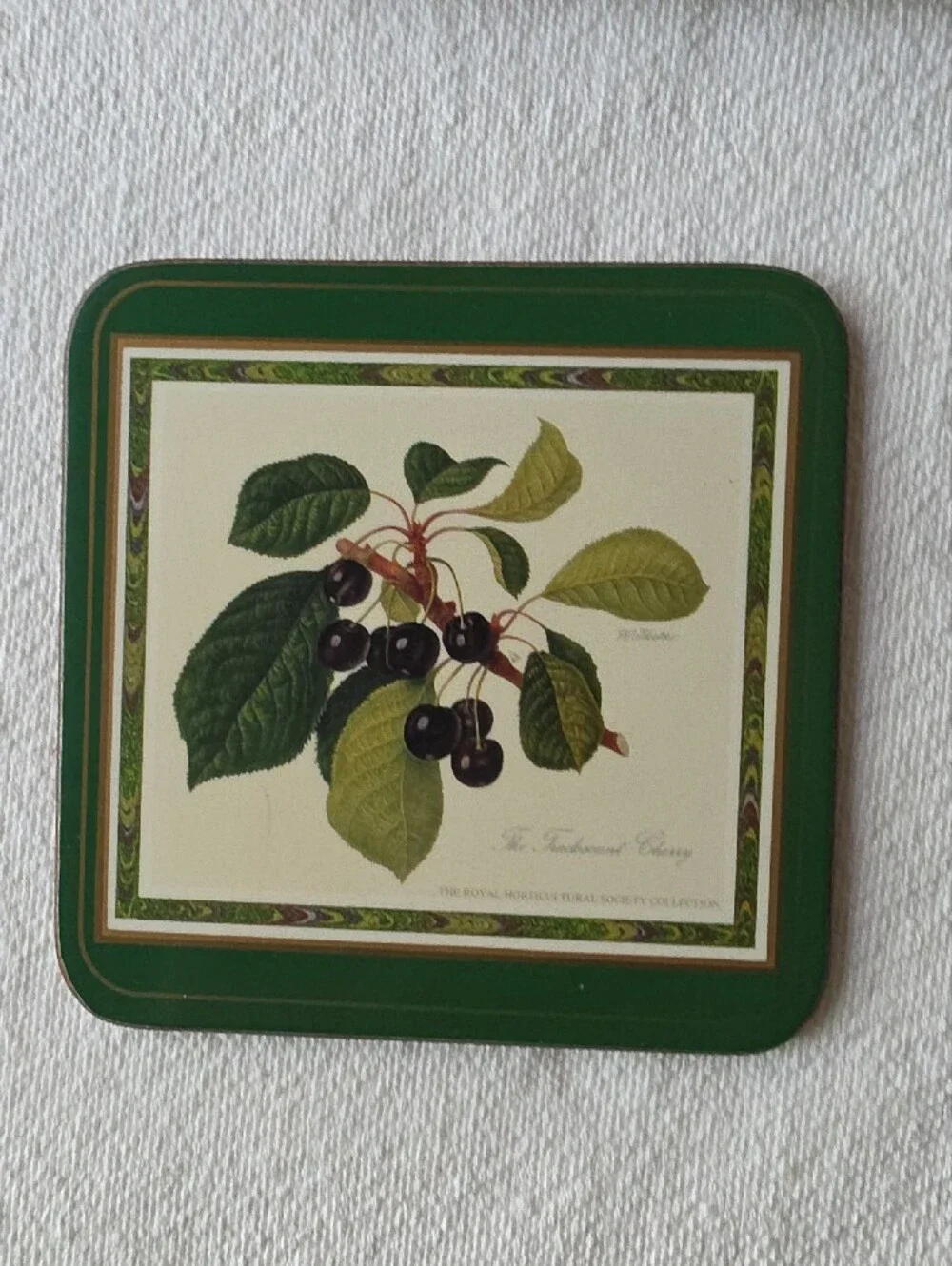Pimpernel Vintage Botanical Fruit Coaster Set in Green and Cream
